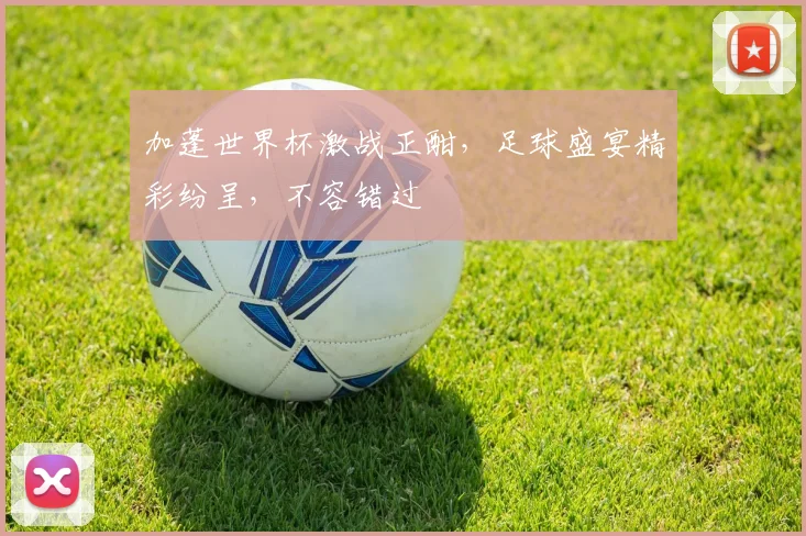加蓬世界杯激战正酣，足球盛宴精彩纷呈，不容错过