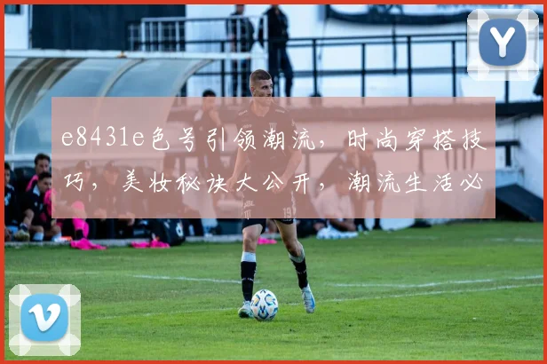 e8431e色号引领潮流，时尚穿搭技巧，美妆秘诀大公开，潮流生活必备