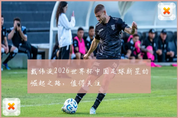 戴伟浚2026世界杯中国足球新星的崛起之路，值得关注